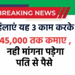 Work From Home For Women: नहीं माँगना पड़ेगा पति से पैसे , इन 3 तरीकों से महिला कमा सकती हर महीने 45,000 रुपए